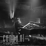 09-11-2011 Maarten van Roozendaal in piano cemetery Photo: Govert de Roos/Connu